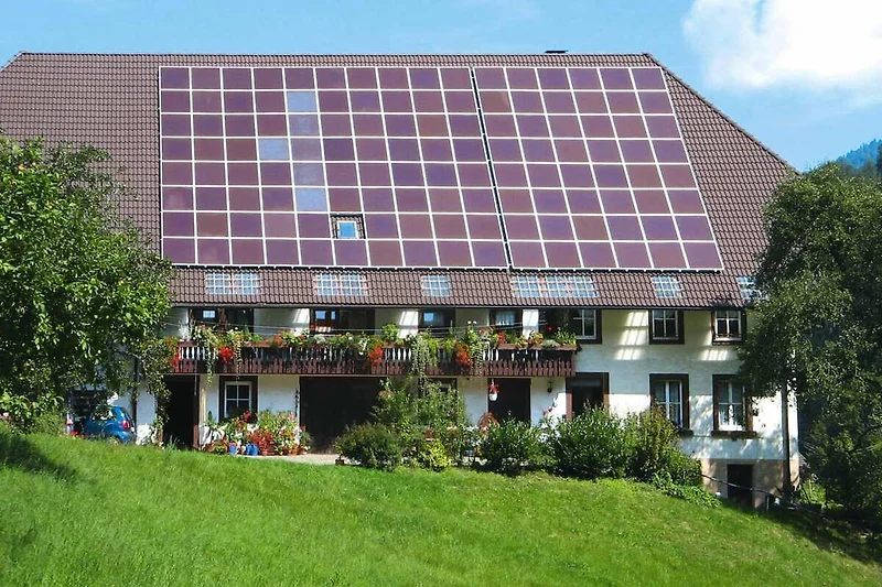 Außenseite Ferienhaus (Sommer)