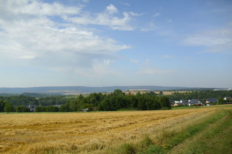 Region (summer) (>5 km)