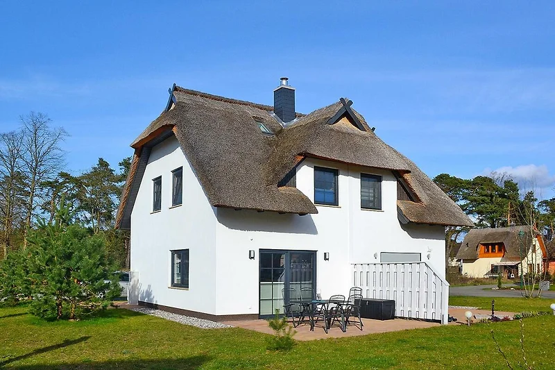 Außenseite Ferienhaus (Sommer)