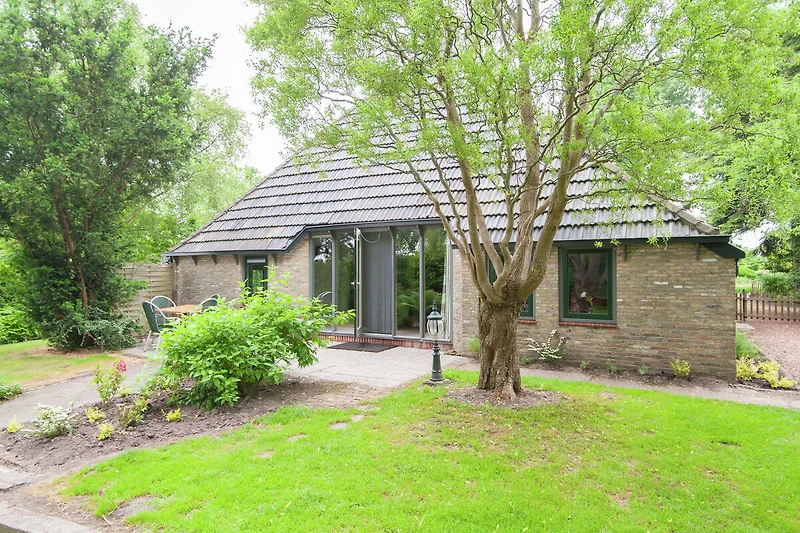 Außenseite Ferienhaus (Sommer)