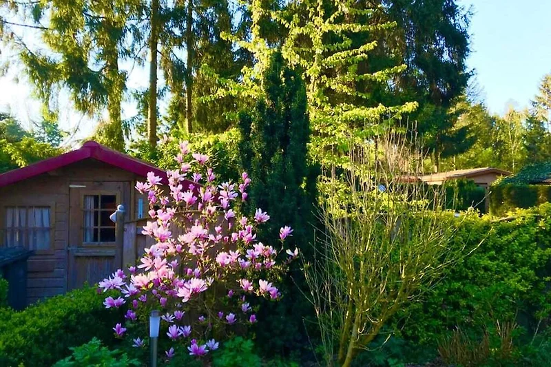 Außenseite Ferienhaus (Sommer)