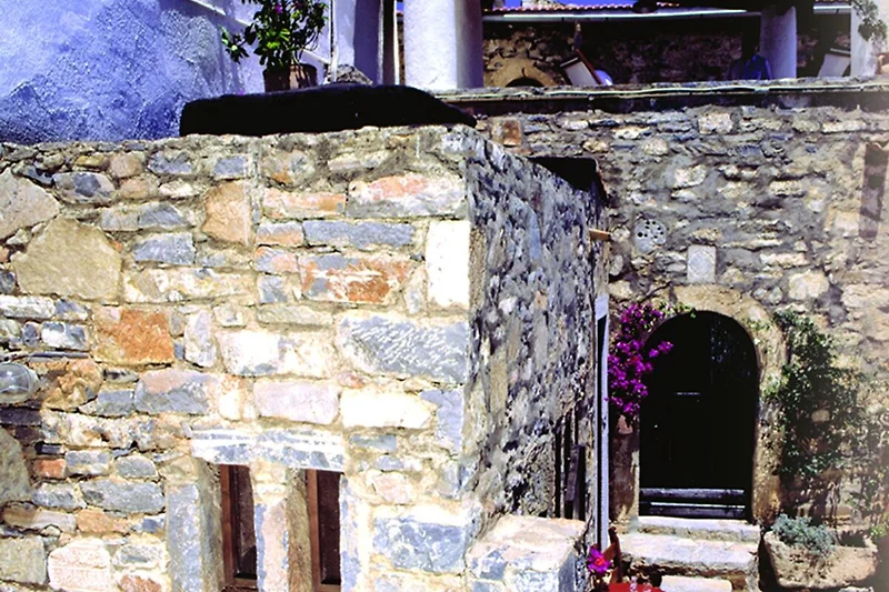 Exterieur vakantiehuis (zomer)