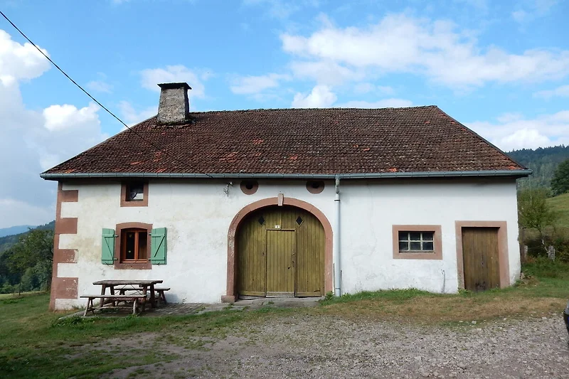 Außenseite Ferienhaus (Sommer)