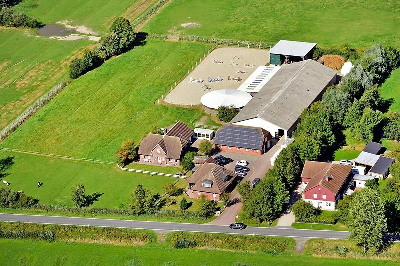 Außenseite Ferienhaus (Sommer)