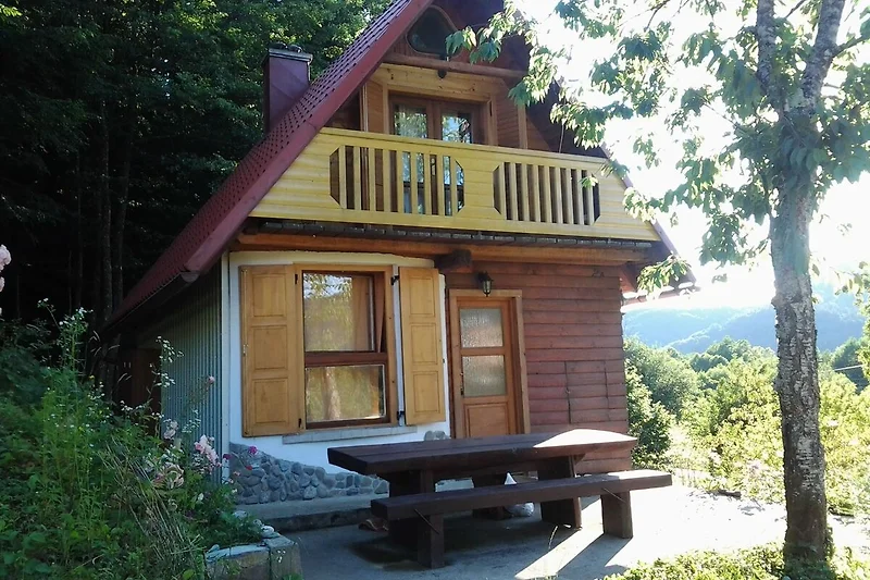 Widok na dom (lato)