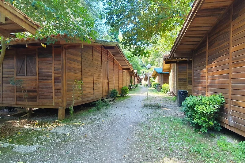 Außenseite Ferienhaus (Sommer)