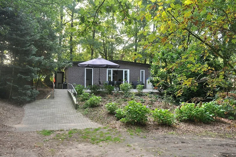 Exterieur vakantiehuis (zomer)
