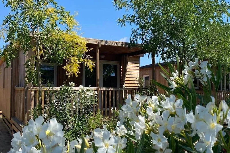 Esterno casa vacanze (estate)