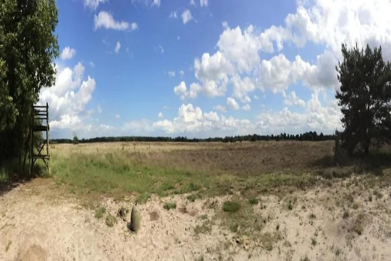 In de regio (zomer) (>5 km)
