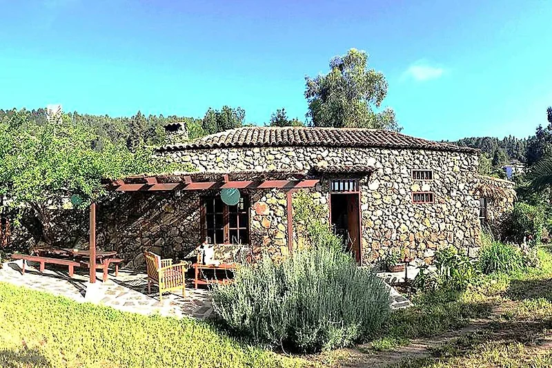 Außenseite Ferienhaus (Sommer)