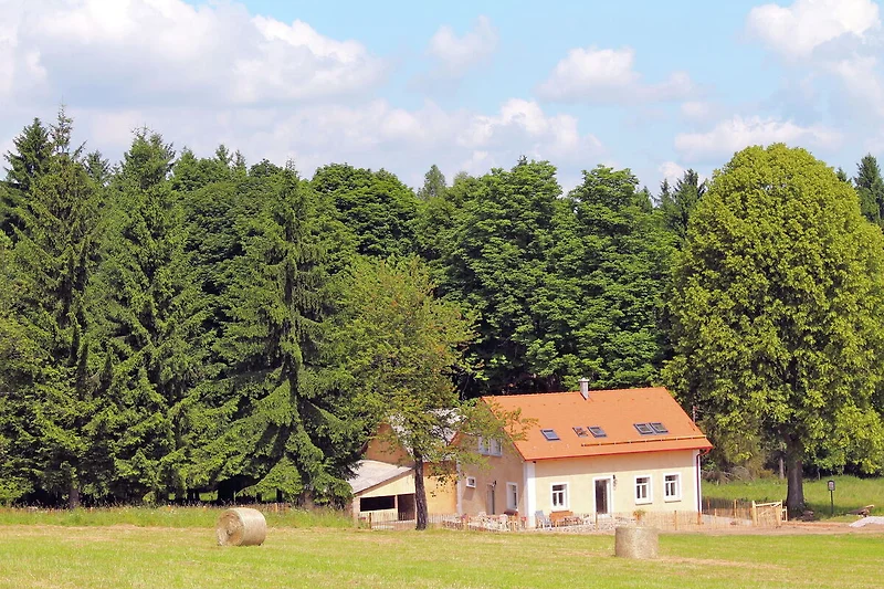 Außenseite Ferienhaus (Sommer)