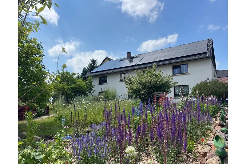 Außenseite Ferienhaus (Sommer)