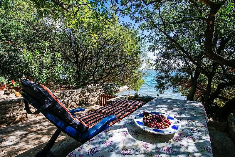 Uitzicht van vakantiehuis (zomer)