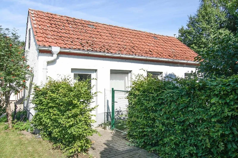 Exterieur vakantiehuis (zomer)