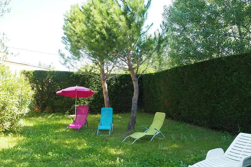 Tuin (zomer)