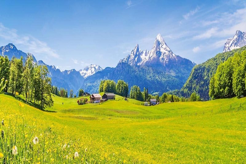 Direkte Umgebung (Sommer) (<1 km)