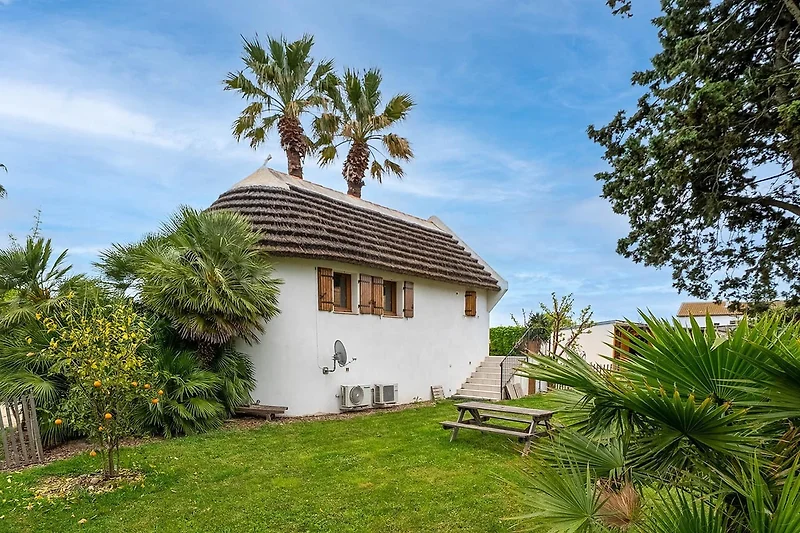 Exterieur vakantiehuis (zomer)