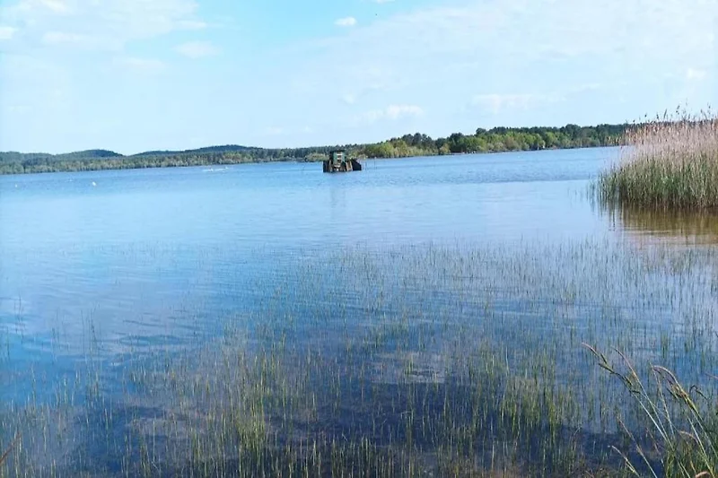 Directe omgeving (zomer) (<1 km)