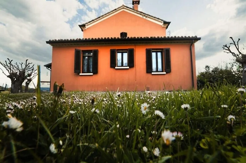 Exterieur vakantiehuis (zomer)