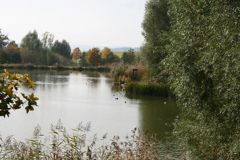 Dintorni (estate) (1-5 km)