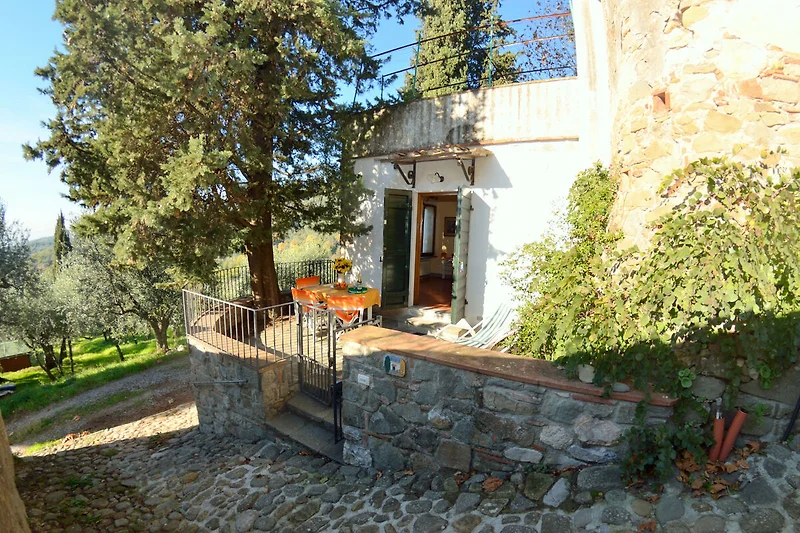 Außenseite Ferienhaus (Sommer)