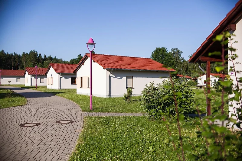 Esterno casa vacanze (estate)