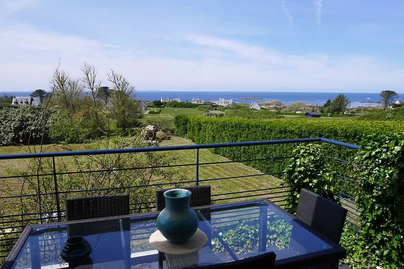 Terras / Balkon