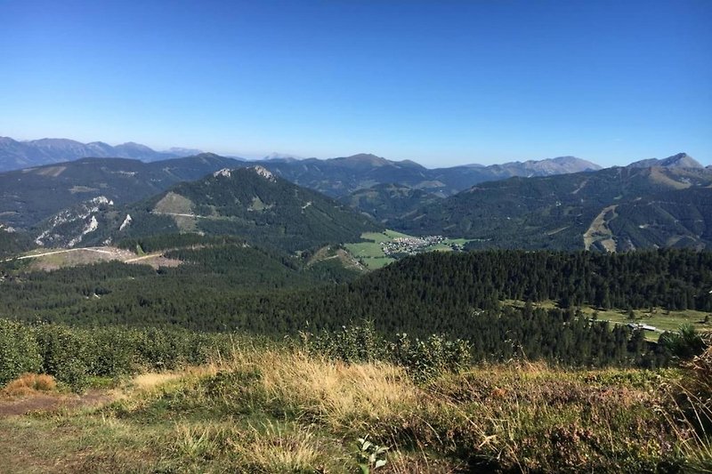 In de regio (zomer) (>5 km)