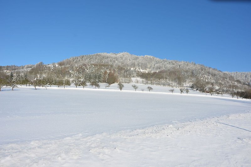Region (winter) (>5 km)
