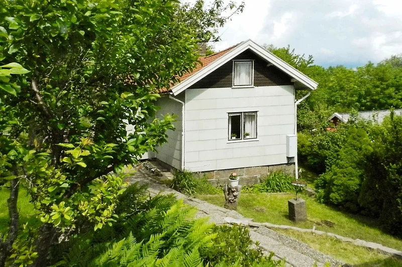 Esterno