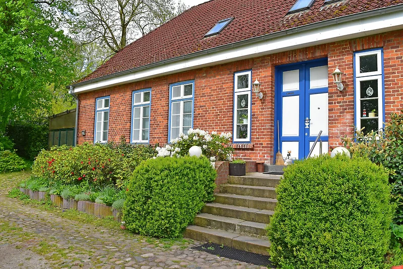 Exterieur vakantiehuis (zomer)