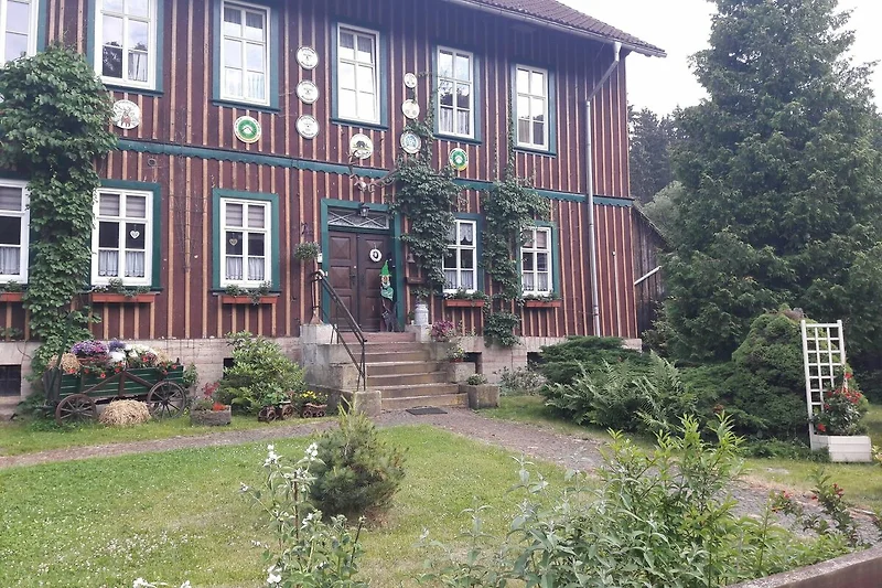 Außenseite Ferienhaus (Sommer)