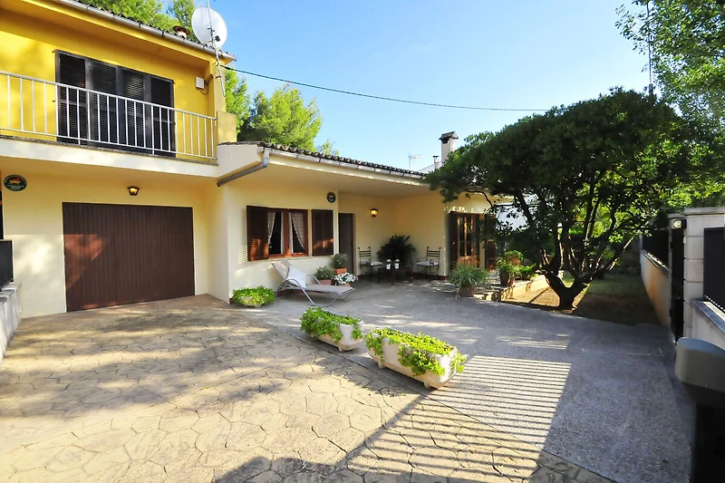 Terrasse / Balkon