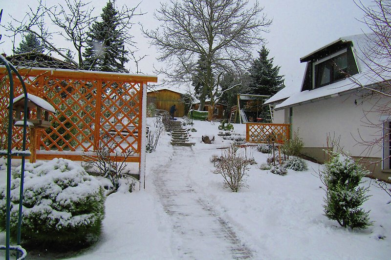 Garden (winter)