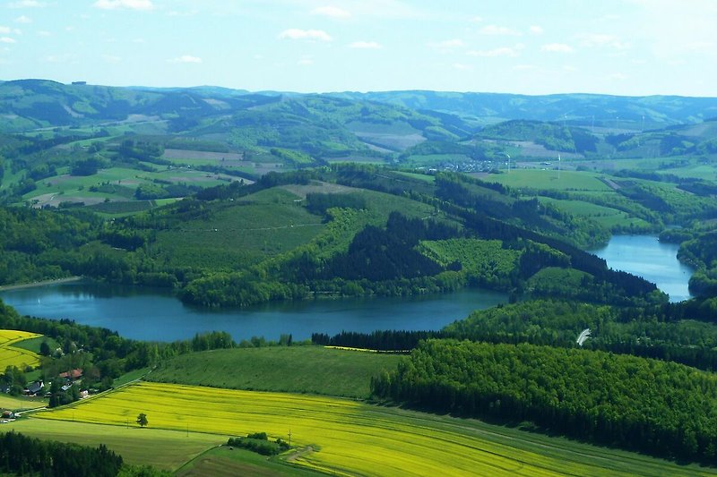 Dintorni (estate) (1-5 km)