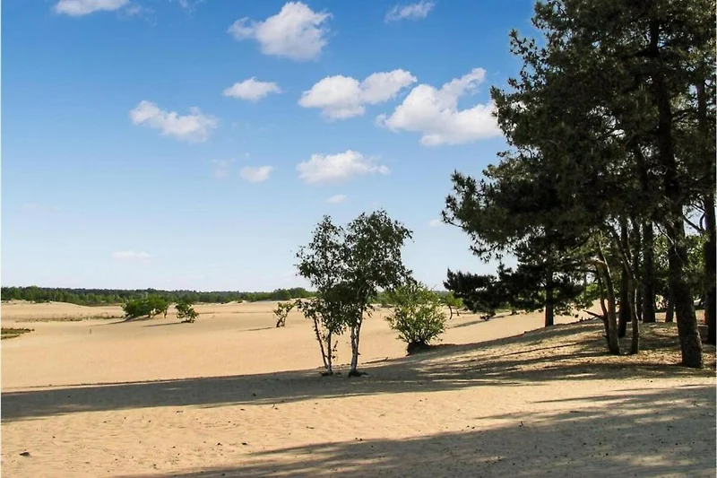 In der Region (Sommer) (>5 km)