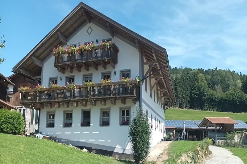 Außenseite Ferienhaus (Sommer)