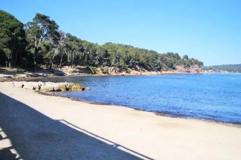 Außenseite Ferienhaus (Sommer)