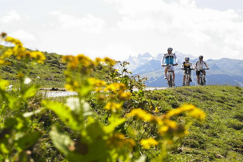 Directe omgeving (zomer) (<1 km)