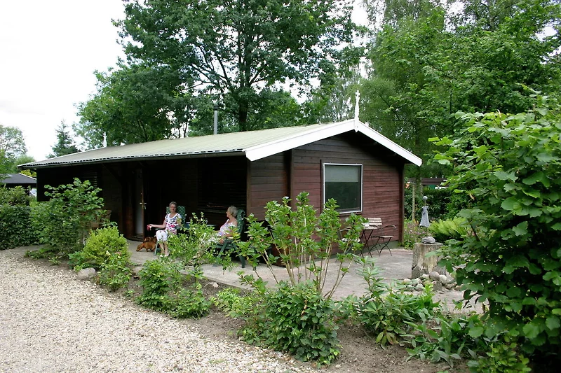 Exterieur vakantiehuis (zomer)