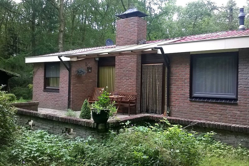 Exterieur vakantiehuis (zomer)
