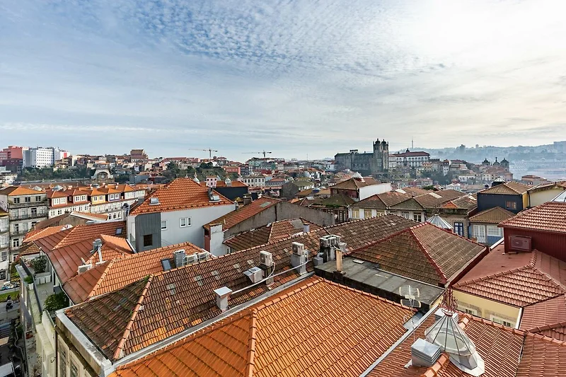 Exterieur vakantiehuis (zomer)