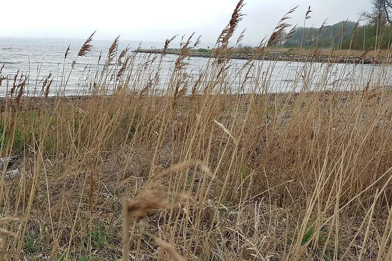 Uitzicht op het water