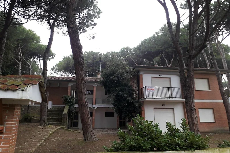 Außenseite Ferienhaus (Sommer)