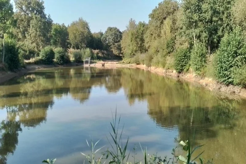 In der Region (Sommer) (>5 km)