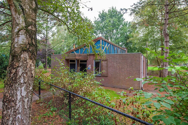 Exterieur vakantiehuis (zomer)