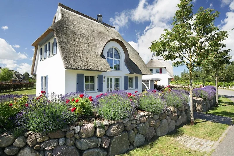 Esterno casa vacanze (estate)