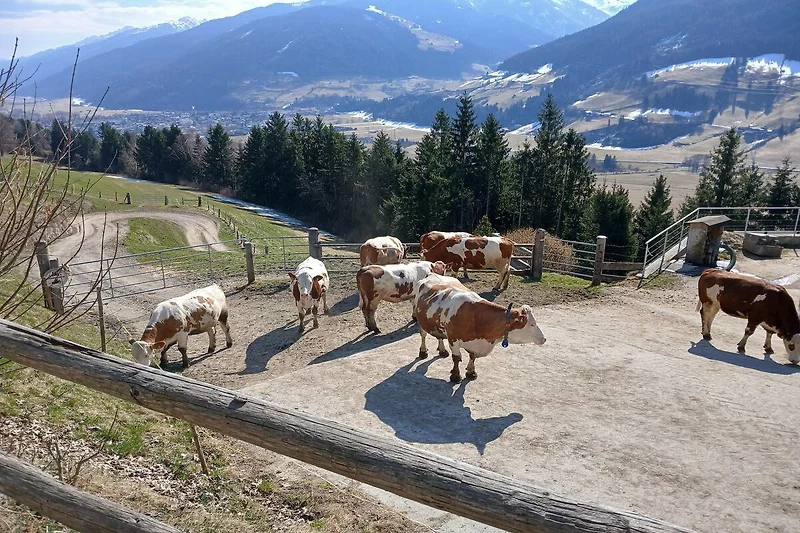 Aussicht vom Ferienhaus (Sommer)