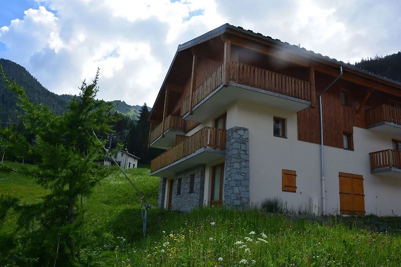 Exterieur vakantiehuis (zomer)