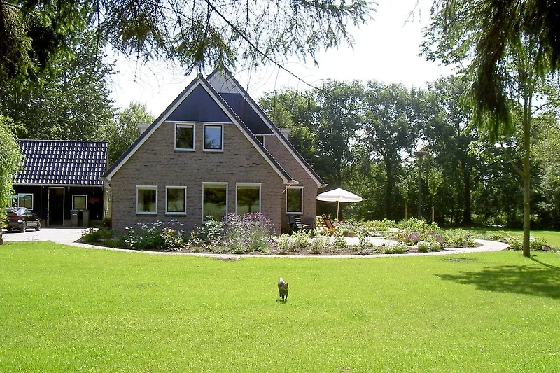 Exterieur vakantiehuis (zomer)